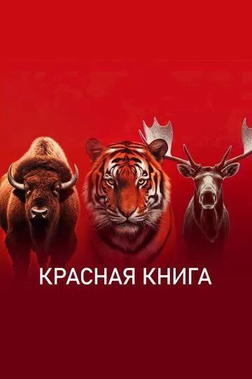 Красная книга смотреть онлайн